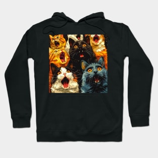 Scaredy-cats Hoodie